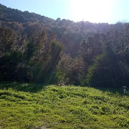 Persefoni's Traditional House *