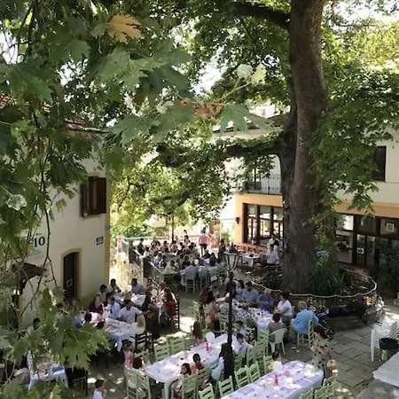 Persefoni's Traditional House