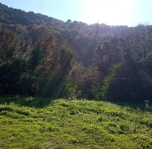 Persefoni's Traditional House *